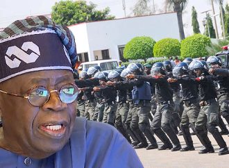 Tinubu Insists State Police, LG Autonomy Must Work, Seeks Governors’ Support