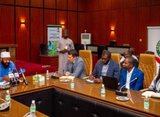 ISDB To Fund $163m Solar Electrification Project In Niger State