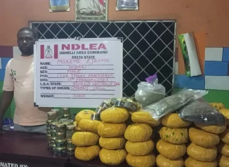 NDLEA Arrest Businesswoman With 3,200 Tramadol Capsules Hidden In Fake Baby Bump