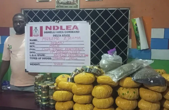 NDLEA Arrest Businesswoman With 3,200 Tramadol Capsules Hidden In Fake Baby Bump
