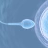 Ejaculating Frequently May Boost Sperm Quality — New Study Reveals