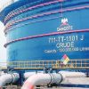 Dangote Dominates Fuel Supply As Nigeria Halts Petrol Imports