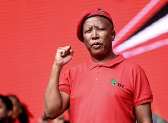 South Africa Opposition Leader, Malema Sentenced To Jail