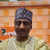 Crisis Strengthens Political Parties – SDP Chair, Gabam