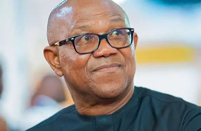 ‘We Have Seen Peter Obi’s True Colour, We Are Disappointed’ – ADC Chieftain