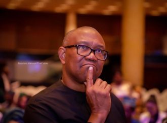 Igbos Not Looking For 4-Year President – Ikonne Fires Peter Obi