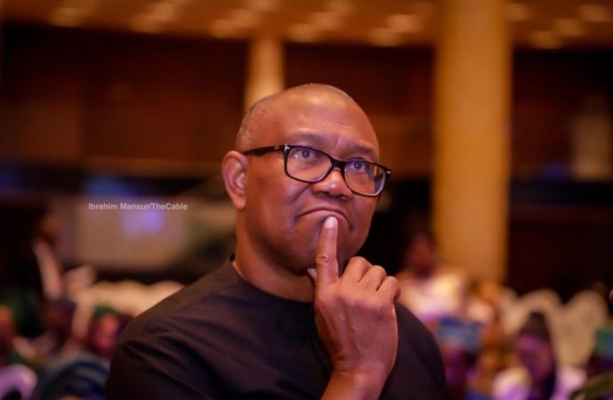 Igbos Not Looking For 4-Year President – Ikonne Fires Peter Obi