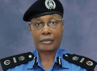 Former IGP Alkali Joins Yobe Governorship Race