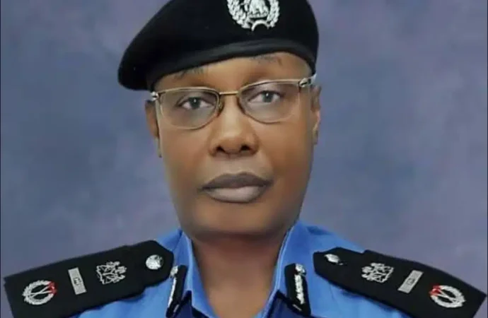 Former IGP Alkali Joins Yobe Governorship Race