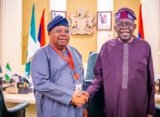 I Can’t Promise Nigerians 24-Hour Power Supply – New Power Minister Tegbe