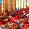 Senate Set To Probe Oshiomhole Over Natasha Suspension Controversy