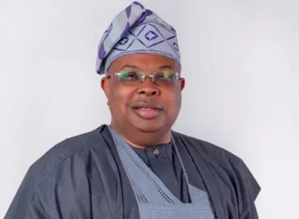 New Power Minister, Tegbe Makes Fresh Promise To Nigerians On Electricity