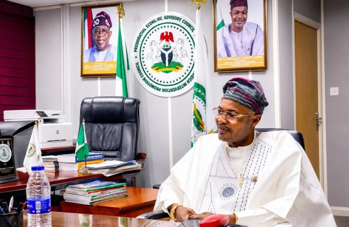 PFIPC Scandal: ‘I Was In Detention When The Budget Was Prepared’ – Adeyemi