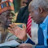 Tinubu Initially Withdrew Support For Fashola’s Second Term – Former Aide