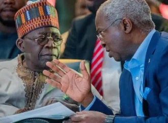 Tinubu Initially Withdrew Support For Fashola’s Second Term – Former Aide