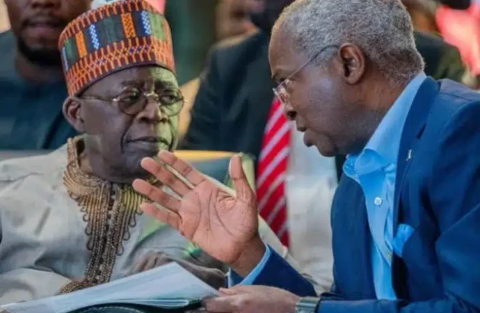 Tinubu Initially Withdrew Support For Fashola’s Second Term – Former Aide