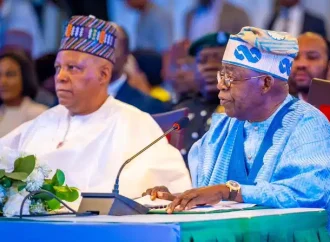 INEC Portal: Uzodimma, Buni, Others Details Uploaded As APC Fixes Date For Tinubu, Running Mate