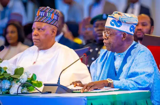INEC Portal: Uzodimma, Buni, Others Details Uploaded As APC Fixes Date For Tinubu, Running Mate
