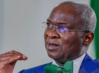 2027: There Is Nothing Exciting From Opposition Parties – Fashola