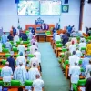 PFIPC Scandal: Reps Summon SGF Akume, Oyedele, AGF Fagbemi, Others