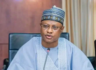 I Have Not Borrowed Since I Became Governor – Kaduna Gov Sani Boasts