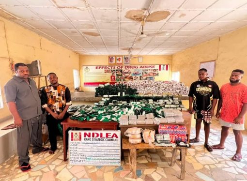 NDLEA Uncovers ₦3.6bn Drug Trafficking Network, Arrests Businessman Bound for India