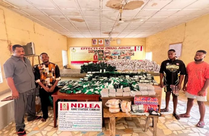NDLEA Uncovers ₦3.6bn Drug Trafficking Network, Arrests Businessman Bound for India