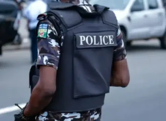 Yobe Police Arrest Four Suspects, Recover Stolen Goat, Building Materials Worth ₦1.5m