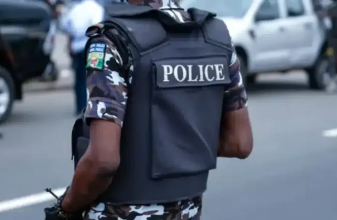Yobe Police Arrest Four Suspects, Recover Stolen Goat, Building Materials Worth ₦1.5m
