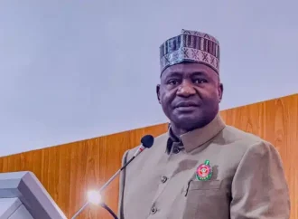 Defence Minister: My Mother Sold Akara, Akamu To Raise Me