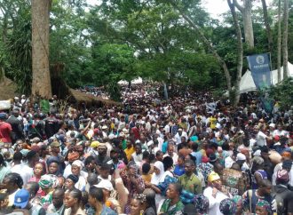 Thousands Celebrate 2026 Osun-Osogbo Festival As Adeleke Reaffirms Support For Cultural Heritage
