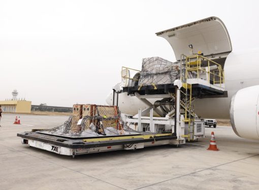 TAAG Cargo Safely Transports Lions From South Africa To Nigeria Via Angola