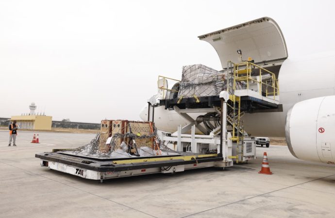 TAAG Cargo Safely Transports Lions From South Africa To Nigeria Via Angola