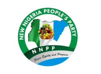 Tinubu’s Credentials: Seek Court Interpretation – NNPP Tells Critics