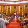 Senate Reveals Why FCT Is Excluded From State Police