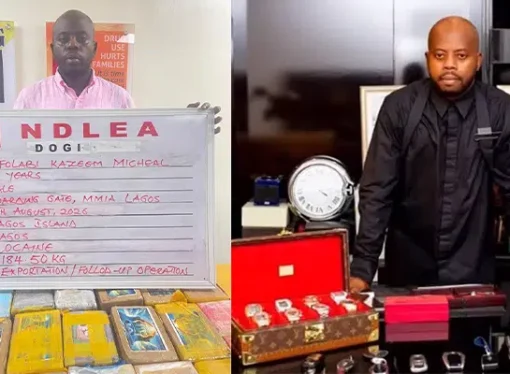 Court Orders NDLEA To Produce KC Luxury After 14 Days In Custody