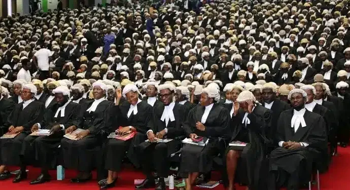 Full List Of 122 Approved Universities In Nigeria To Study Law