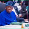 Mambilla Project: Tinubu Hails Buhari, Obasanjo As Nigeria Wins $680 Million ICC Case