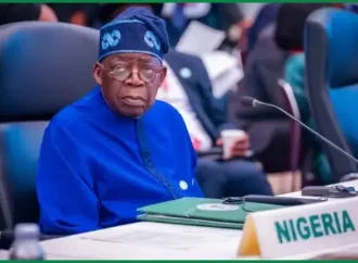 Mambilla Project: Tinubu Hails Buhari, Obasanjo As Nigeria Wins $680 Million ICC Case