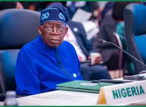 Mambilla Project: Tinubu Hails Buhari, Obasanjo As Nigeria Wins $680 Million ICC Case