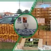 NDLEA Seizes Over 2.3 Tonnes Of Drugs, Arrests 12 Suspects