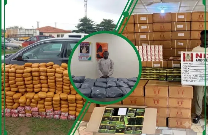 NDLEA Seizes Over 2.3 Tonnes Of Drugs, Arrests 12 Suspects