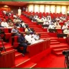 Full List: Akpabio, Oshiomhole, Uzodimma, 1,300 Others Make INEC Senate List