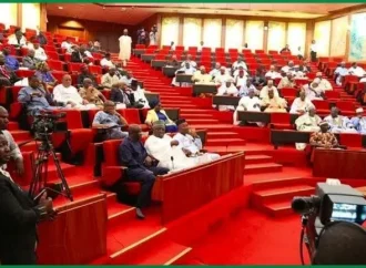 Full List: Akpabio, Oshiomhole, Uzodimma, 1,300 Others Make INEC Senate List