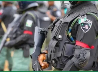 ‘Terrorist Attack?’ – Police Explain Security Operation At Asaba Airport