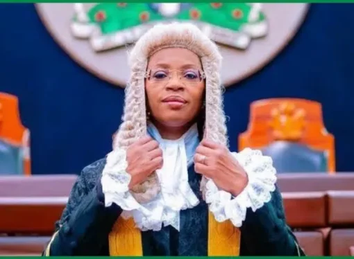 ‘We Can See, Feel And Hear The Impact’ — NBA President Hails EFCC