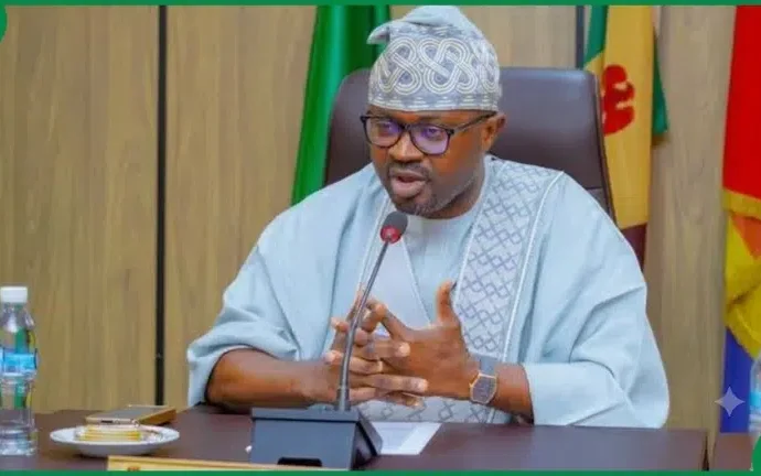 Niger Deaths: FG Inaugurates 10-Member Probe Panel