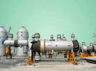 Dangote Refinery IPO: What Nigerians Need To Know Before Buying Shares