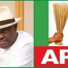 2027: ‘APC Governors Accuse Wike Of Attempting To Sabotage Tinubu’