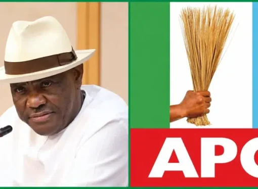 2027: ‘APC Governors Accuse Wike Of Attempting To Sabotage Tinubu’